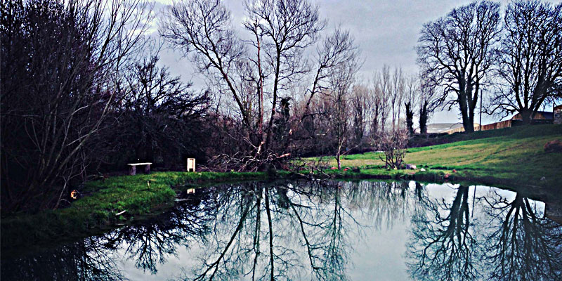 The Lily Pond at ANRÁN
