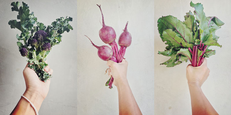 The Organic Kitchen Garden at ANRÁN