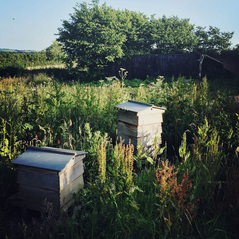 The Organic Kitchen Garden at ANRÁN
