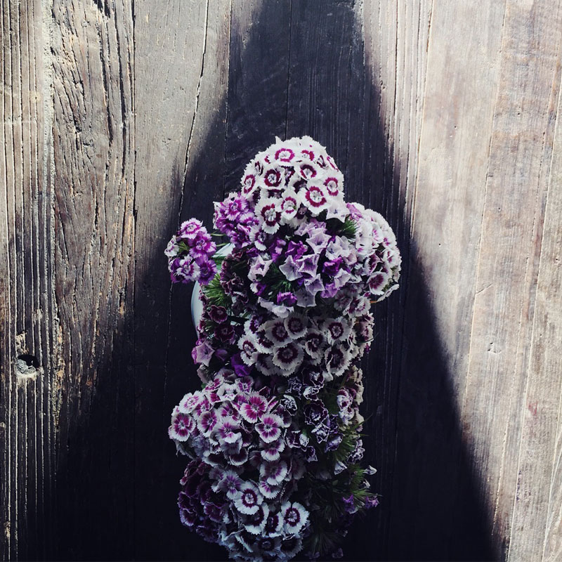 The Organic Kitchen Garden at ANRÁN