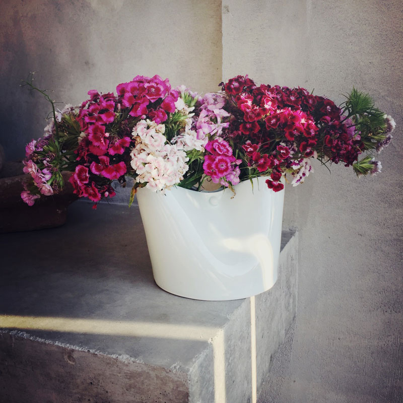 The Organic Kitchen Garden at ANRÁN