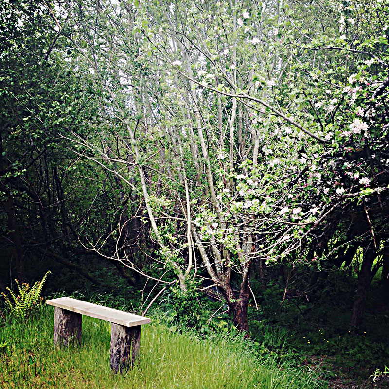 The Lake Side at ANRÁN