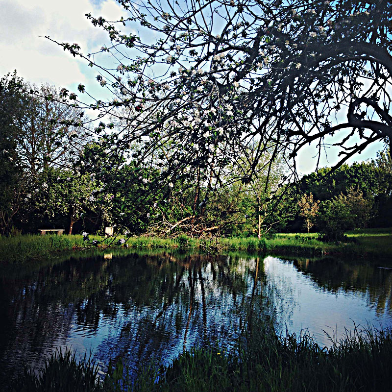 The Lake Side at ANRÁN