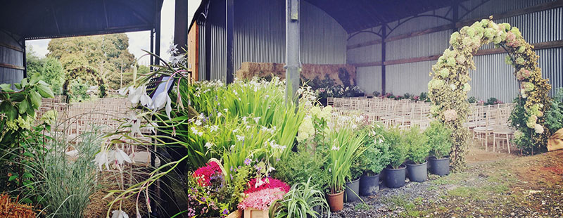 Alice and Edward's wedding at ANRÁN, Devon